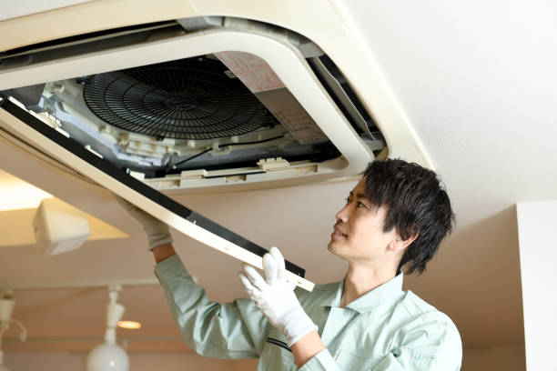 Best Ductwork Cleaning Services  in Mcallen, TX