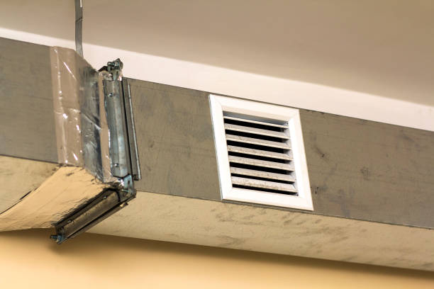 Best Affordable Duct Cleaning Services  in Mcallen, TX